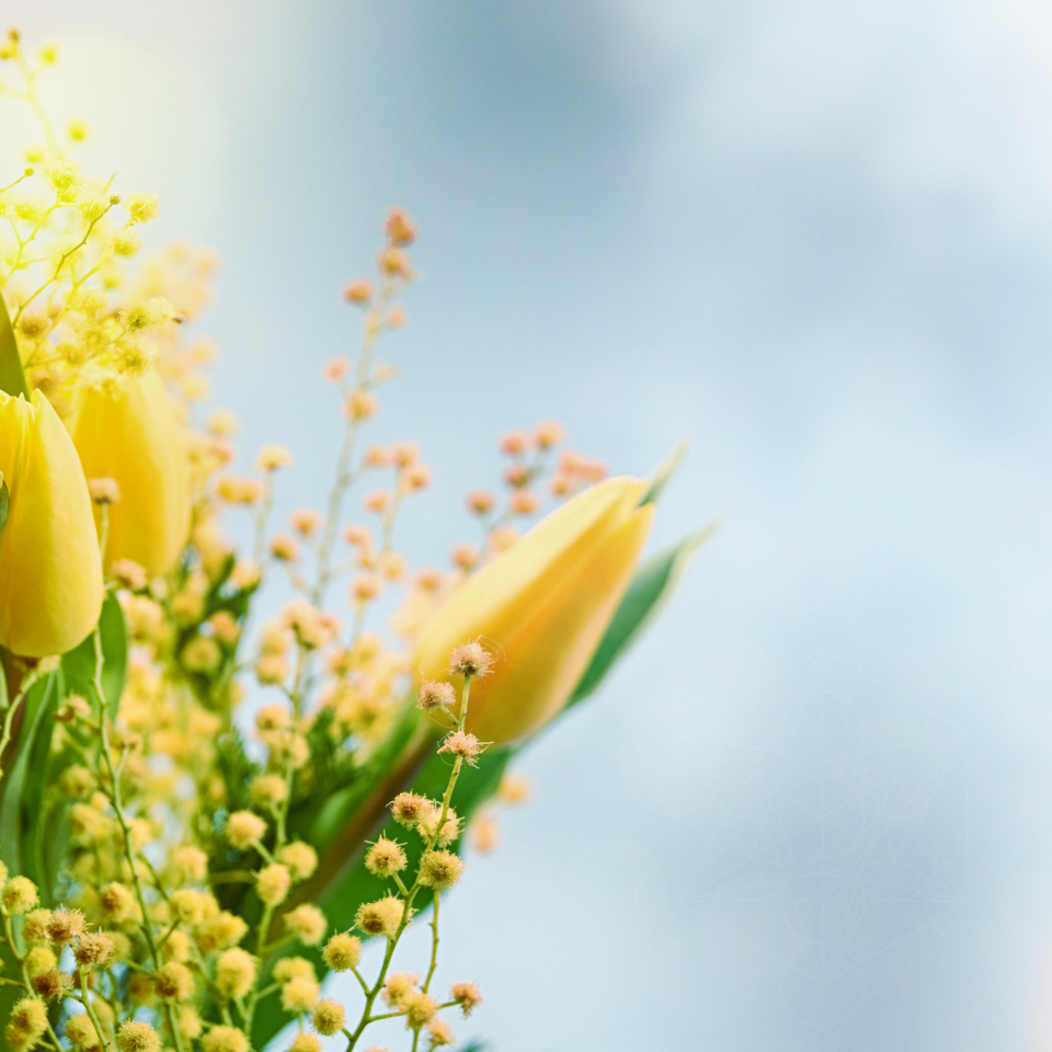 img20260222162550264075.png